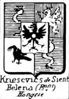 Knesevics Coat of Arms / Family Crest 0