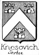 Knesovich Coat of Arms / Family Crest 1