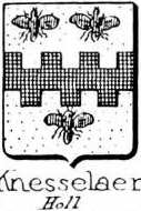 Knesselaer Coat of Arms / Family Crest 0