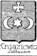 Kniaziewicz Coat of Arms / Family Crest 0