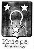Knieps