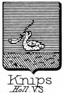 Knips