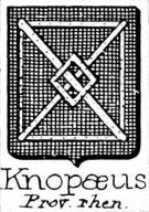 Knopaeus