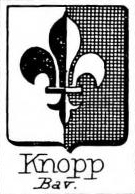 Knopp Coat of Arms / Family Crest 2