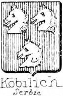 Kobilich Coat of Arms / Family Crest 1