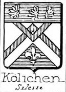 Kolichen Coat of Arms / Family Crest 3