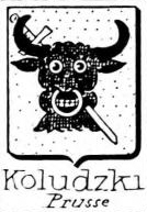 Koludzki Coat of Arms / Family Crest 0