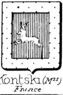 Kontski Coat of Arms / Family Crest 1