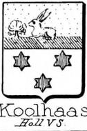 Koolhaas Coat of Arms / Family Crest 0