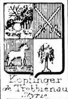 Kopfinger Coat of Arms / Family Crest 1