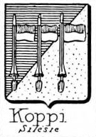 Koppi Coat of Arms / Family Crest 0