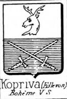 Kopriva Coat of Arms / Family Crest 0