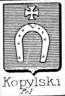 Kopylski Coat of Arms / Family Crest 0