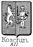 Koschin Coat of Arms / Family Crest 0