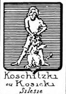 Koschitzki Coat of Arms / Family Crest 1