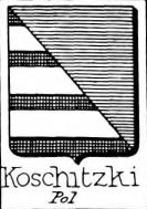 Koschitzki Coat of Arms / Family Crest 0