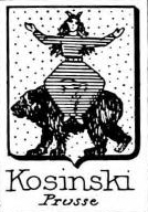 Kosinski Coat of Arms / Family Crest 0