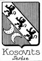 Kosovits Coat of Arms / Family Crest 0