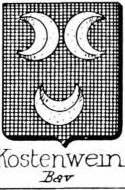 Kostenwein Coat of Arms / Family Crest 0