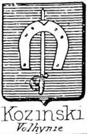 Kozinski Coat of Arms / Family Crest 1