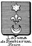 Latsma Coat of Arms / Family Crest 2
