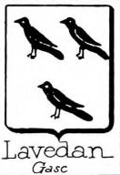 Lavedan Coat of Arms / Family Crest 0