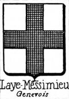 Laye Coat of Arms / Family Crest 2