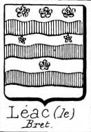 Leac Coat of Arms / Family Crest 0