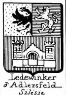 Ledewinker Coat of Arms / Family Crest 0