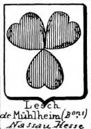 Lesch Coat of Arms / Family Crest 2