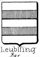 Leublfing Coat of Arms / Family Crest 0