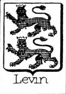 Levin Coat of Arms / Family Crest 2