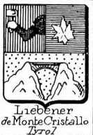 Liebener Coat of Arms / Family Crest 0
