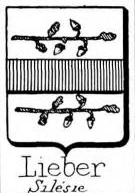 Lieber Coat of Arms / Family Crest 2