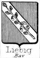 Liebig Coat of Arms / Family Crest 0
