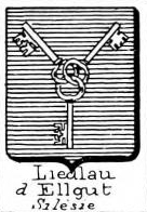 Liedlau Coat of Arms / Family Crest 2
