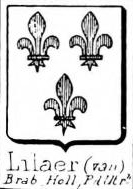 Lilaer Coat of Arms / Family Crest 0