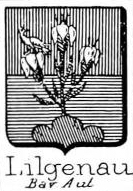 Lilgenau Coat of Arms / Family Crest 3