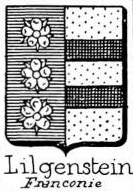 Lilgenstein Coat of Arms / Family Crest 0