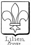Lilien Coat of Arms / Family Crest 4