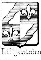 Lilljestrom Coat of Arms / Family Crest 0