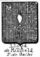 Lloyd Coat of Arms / Family Crest 5