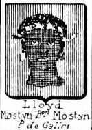 Lloyd Coat of Arms / Family Crest 6