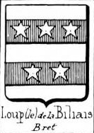 Loup Coat of Arms / Family Crest 3