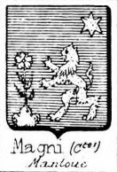 Magni Coat of Arms / Family Crest 6