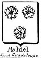 Mahiel Coat of Arms / Family Crest 1