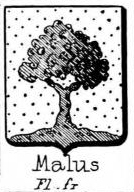 Malus Coat of Arms / Family Crest 0