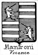 Manfroni Coat of Arms / Family Crest 3