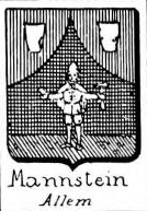 Mannstein Coat of Arms / Family Crest 0