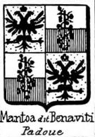 Mantoa Coat of Arms / Family Crest 1